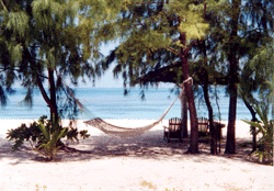 Relax Denis island Seychelles is the ultimate in relaxation.