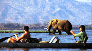 wonderful food on safari