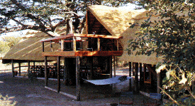 giraffe springs in Zimbabwe