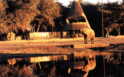 Luxury safari holidays in south africa and zimbabwe
