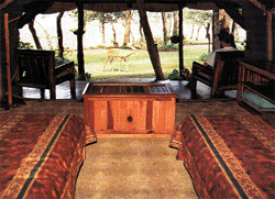 Safari Camp South Africa