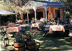 Travel Africa visiting Willowbrook Lodge Cape Winelands South Africa tour.